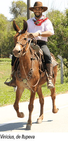 Vin cius, de Itupev