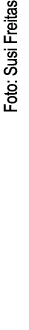 Foto: Susi Freitas
