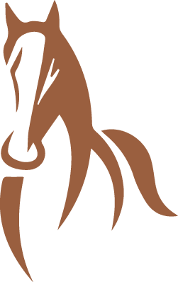 Group