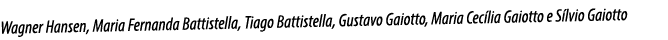 Wagner Hansen, Maria Fernanda Battistella, Tiago Battistella, Gustavo Gaiotto, Maria Cec lia Gaiotto e S lvio Gaiotto