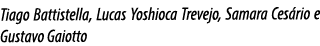 Tiago Battistella, Lucas Yoshioca Trevejo, Samara Ces rio e Gustavo Gaiotto