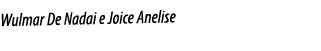 Wulmar De Nadai e Joice Anelise