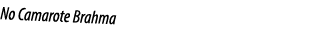 No Camarote Brahma