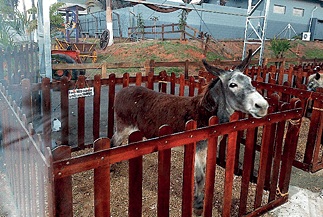 CamScanner 11-06-2023 17.36