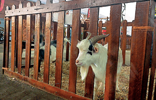 CamScanner 11-06-2023 17.40