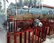 CamScanner 11-06-2023 17.36