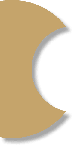 Polygon