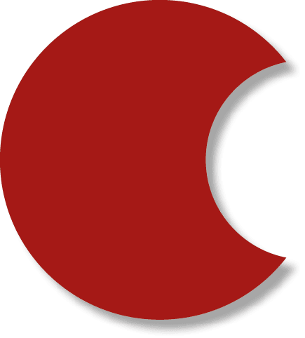 Polygon