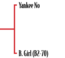 Yankee No B. Girl (B2 70)