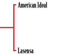 American Ideal Lasensa