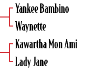 Yankee Bambino Waynette Kawartha Mon Ami Lady Jan