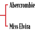 Abercrombie Miss Elvir
