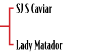 SJ S Caviar Lady Matado