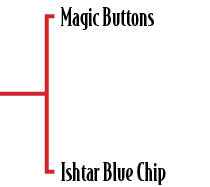 Magic Buttons Ishtar Blue Chip