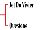 Jet Du Vivier Queston