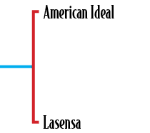 American Ideal Lasensa