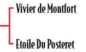 Vivier de Montfort Etoile Du Postere