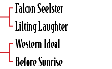 Falcon Seelster Lilting Laughter Western Ideal Before Sunrise