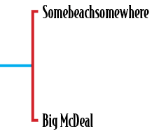 Somebeachsomewhere Big McDea