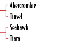 Abercrombie Tinsel Seahawk Tiara