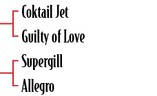 Coktail Jet Guilty of Love Supergill Allegro