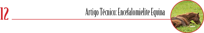 12,Artigo T cnico: Encefalomielite Equina