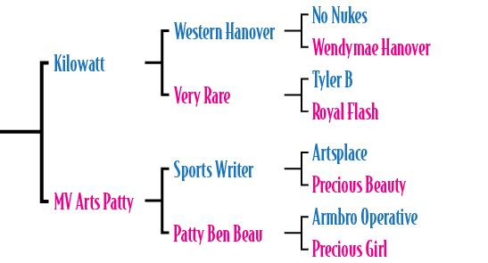 Kilowatt MV Arts Patty ,Sports Writer Patty Ben Beau,Artsplace Precious Beauty Armbro Operative Precious Girl ,Wester...