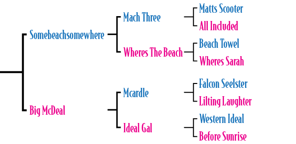 Somebeachsomewhere Big McDeal,Mcardle Ideal Gal,Falcon Seelster Lilting Laughter Western Ideal Before Sunrise ,Mach T...