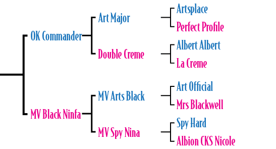 OK Commander MV Black Ninfa ,MV Arts Black MV Spy Nina,Art Official Mrs Blackwell Spy Hard Albion CKS Nicole,Art Majo...