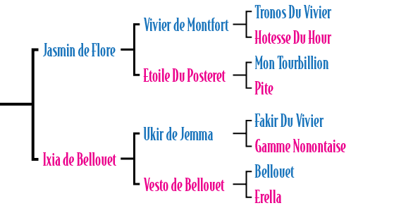 Jasmin de Flore Ixia de Bellouet ,Ukir de Jemma Vesto de Bellouet,Fakir Du Vivier Gamme Nonontaise Bellouet Erella ,V...
