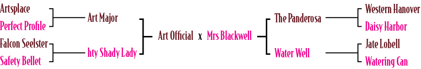 Art Official x Mrs Blackwell,The Panderosa Water Well,Western Hanover Daisy Harbor Jate Lobell Watering Can ,Art Majo...