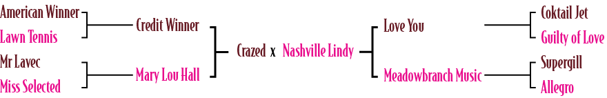 Crazed x Nashville Lindy ,Love You Meadowbranch Music,Coktail Jet Guilty of Love Supergill Allegro,Credit Winner Mary...