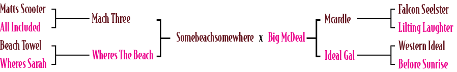 Somebeachsomewhere x Big McDeal,Mcardle Ideal Gal,Falcon Seelster Lilting Laughter Western Ideal Before Sunrise,Mach ...