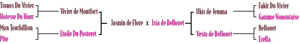 Jasmin de Flore x Ixia de Bellouet,Ukir de Jemma Vesto de Bellouet,Fakir Du Vivier Gamme Nonontaise Bellouet Erella ,...