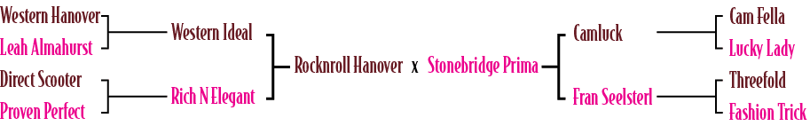 Rocknroll Hanover x Stonebridge Prima,Camluck Fran Seelsterl,Cam Fella Lucky Lady Threefold Fashion Trick,Western Ide...