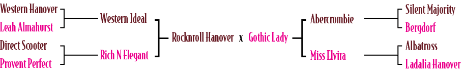 Rocknroll Hanover x Gothic Lady,Abercrombie Miss Elvira,Silent Majority Bergdorf Albatross Ladalia Hanover,Western Id...