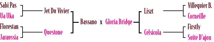 Bassano x Gloria Bridge,Liszt Celsicola,Villequier B. Corneille Firstly Suite D’ajon ,Jet Du Vivier Questone,Sabi Pas...