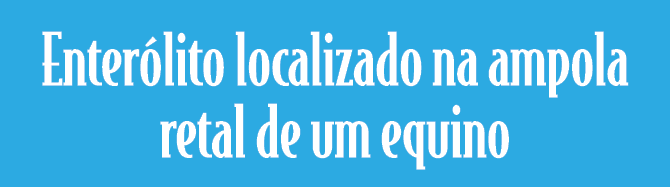 Enter lito localizado na ampola retal de um equino 