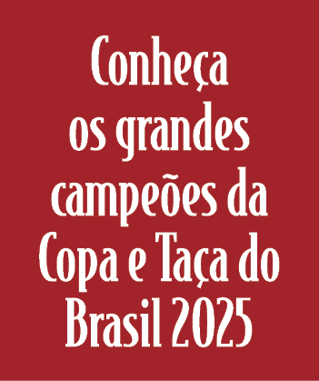 Conhe a os grandes campe es da Copa e Ta a do Brasil 2025 
