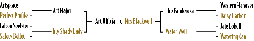 Art Official x Mrs Blackwell,The Panderosa Water Well,Western Hanover Daisy Harbor Jate Lobell Watering Can ,Art Majo...