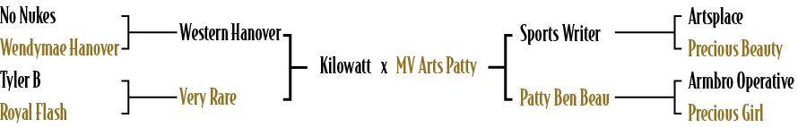 Kilowatt x MV Arts Patty,Sports Writer Patty Ben Beau,Artsplace Precious Beauty Armbro Operative Precious Girl,Wester...